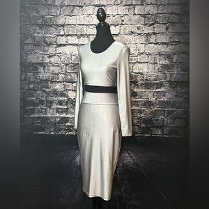 Silver Skirt & Top